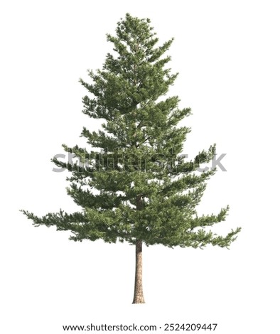 Similar – Image, Stock Photo Tree ( pine tree ) on a bare rock in front of a bright blue sky