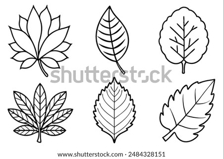 Leaf bundle art illustration bringing natural beauty to artistic creations