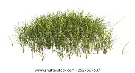 Similar – Image, Stock Photo Wild grasses in the dunes