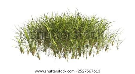 Similar – Image, Stock Photo Wild grasses in the dunes