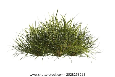 Similar – Image, Stock Photo Wild grasses Grass