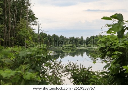 Similar – Image, Stock Photo Quiet evening atmosphere in the countryside in the sunny backlight