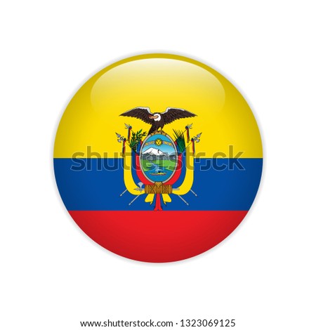 Ecuador flag on button