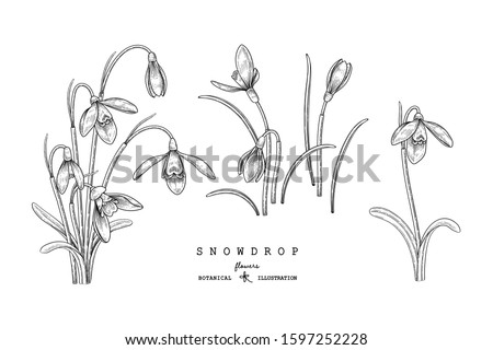 Shutterstock Puzzlepix