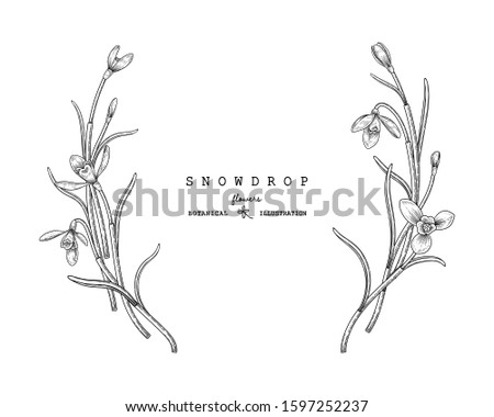 Shutterstock Puzzlepix