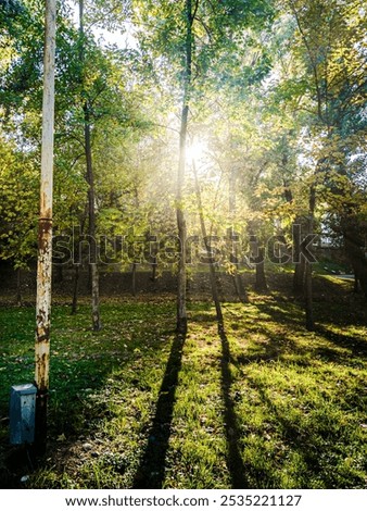 Similar – Image, Stock Photo bathe in peace Shadow