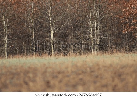 Similar – Image, Stock Photo My piece of heaven Sky