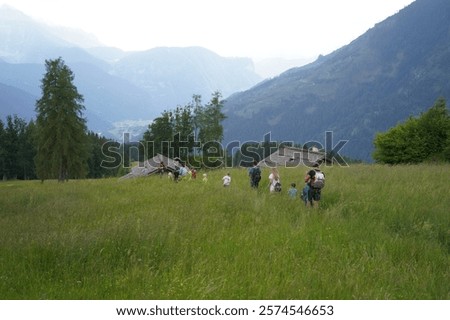 Similar – Foto Bild Kind geht durch Blumenwiese