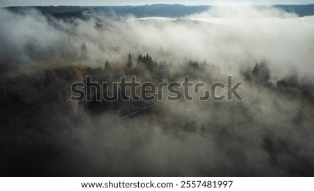 Foto Bild Herbstnebel liegt über dem Bodensee