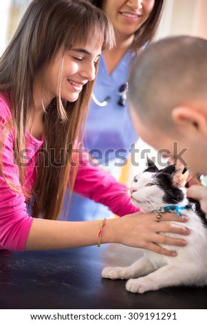 Lovely  girl calm down her sick cat in veterinary clinic
