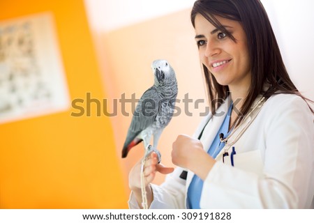 Beautiful veterinarian examining sick African grey parrot in vet clinic