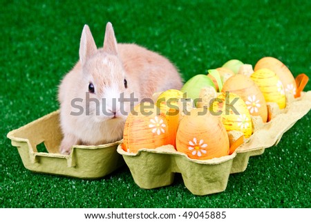 Cute bunny in a cartoon box with easter eggs