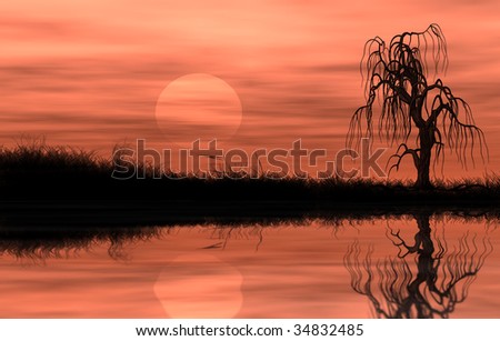 Reflected riparian tree in golden sunset