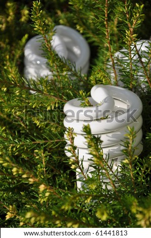 Save energy bulb with pine tree background