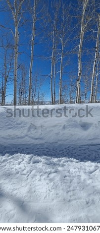 Similar – Image, Stock Photo when there was still winter.