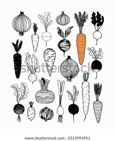 Similar – Image, Stock Photo Raw carrots on rustic wooden background