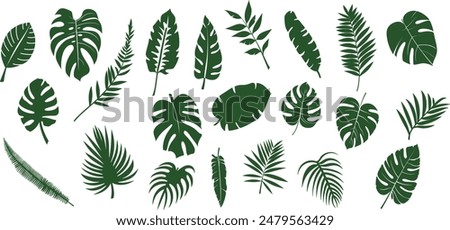 A collection of green tropical leaves in various shapes and sizes, including monstera, palm, and fern leaves, arranged in a seamless pattern on a white background.