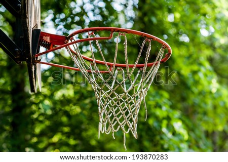 Old basketball hoop on green background