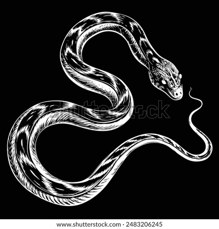 Big snake Vector Illustration Design