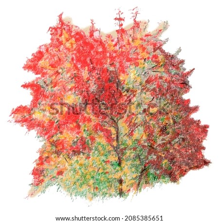 Maple tree in Autumn Fall colours. Drawing. Loose styled artwork with bright red to pale green tones. Some branches. Foto stock © 