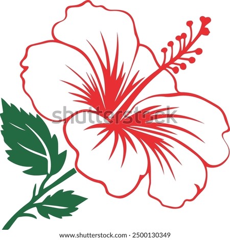 red hibiscus flower, red hibiscus, red hibiscus on white and red with green leaf, hibiscus flowers