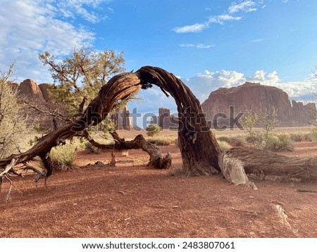 Similar – Image, Stock Photo Monument Valley Juniper