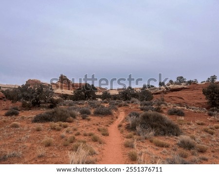 Similar – Image, Stock Photo Oscillation Garden