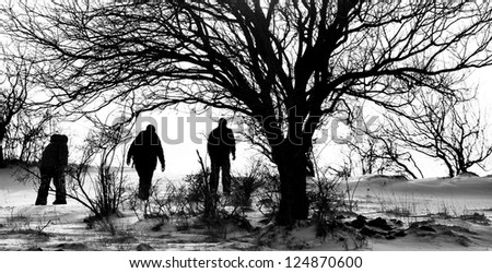 abstract high contrasted black and white silhouetted nature