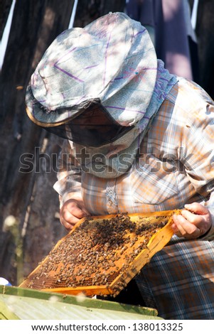 old woman care for bee family