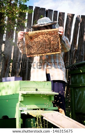 care for bee family in bulgarian farmland