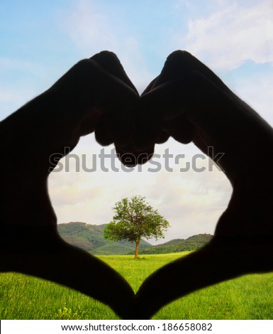 loving tree and save planet concept with human hand in shape of heart