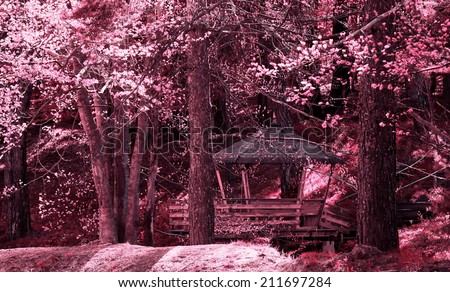Beautiful infra red landscape in deep autumn forest