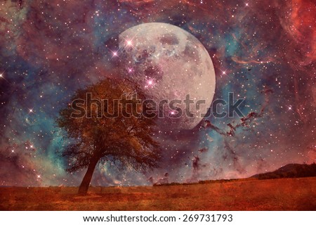 red alien landscape with alone tree over the moon night sky- elements of this image are furnished by NASA