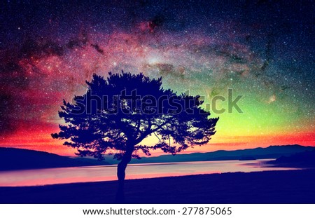 alien landscape with alone tree over the night sky with many stars - elements of this image are furnished by NASA