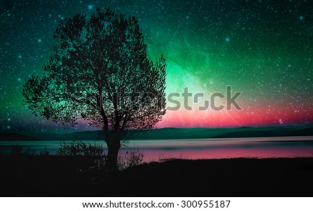 red alien landscape with alone tree silhouette near lake- elements of this image are furnished by NASA