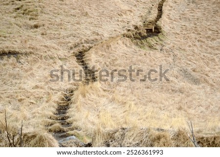 Similar – Image, Stock Photo Swaths of straw and conspicuous ruts on a mown field on a slope, in front of six different small deciduous trees, a road and a meadow / Summer