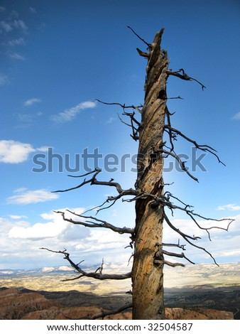 Dead Tree Stand Alone