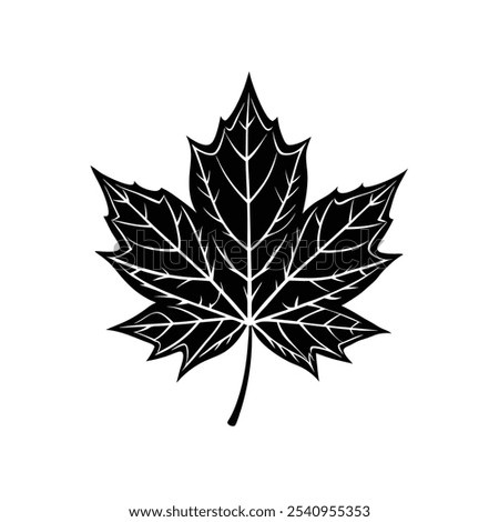 Simple maple leaf silhouette in line art style, perfect for autumn-themed designs