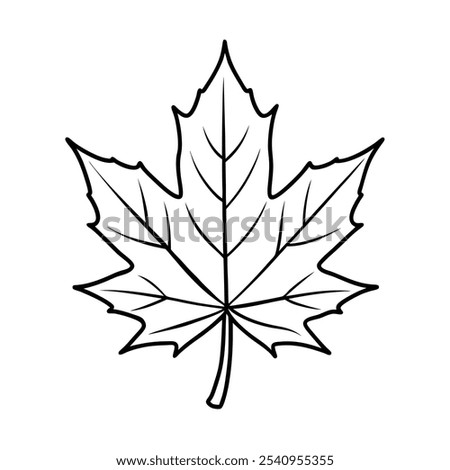 Simple maple leaf silhouette in line art style, perfect for autumn-themed designs