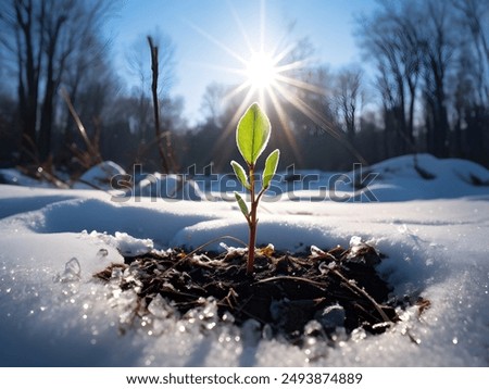 Similar – Foto Bild Schwarzwald Winterende