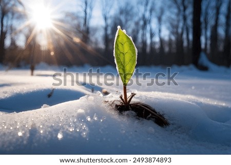 Similar – Foto Bild Schwarzwald Winterende