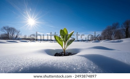 Similar – Foto Bild Schwarzwald Winterende