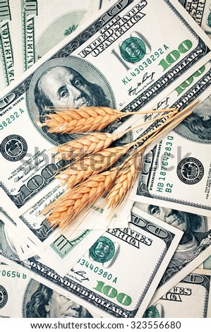 golden spikes of wheat with dollar bills