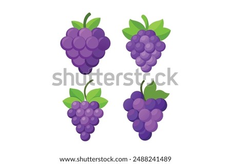 High-Resolution Grape Vector Art for Print