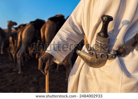 Similar – Image, Stock Photo in oman old desert  rub al khali the empty  quarter and outdoor  sand dune