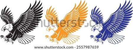 A vector of an eagle with wings fully spread