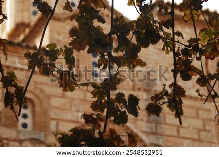 Similar – Image, Stock Photo Hidden church Autumn