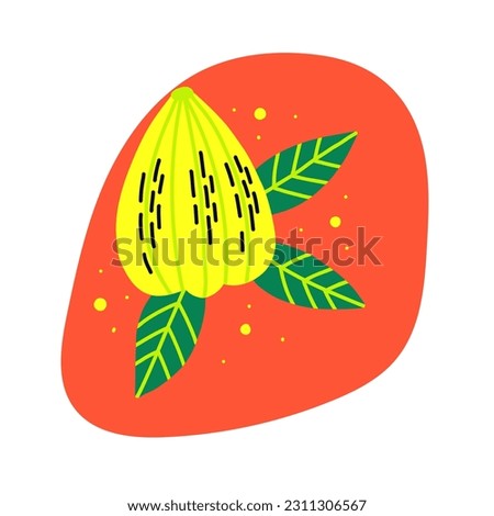 Acid fruit yellow carambola with leaf. Hand drawn vector starfruit