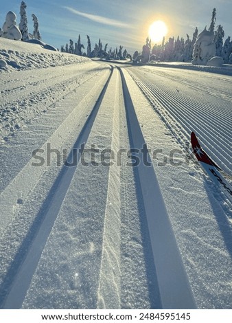 Similar – Foto Bild Langlauf / Skatingspuren im Schnee