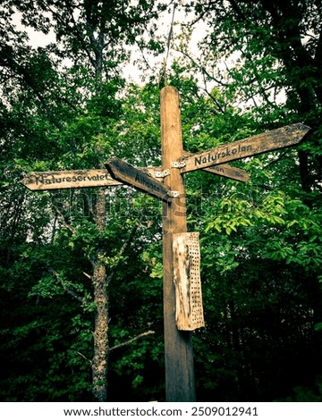 Similar – Image, Stock Photo signpost Cemetery Graves